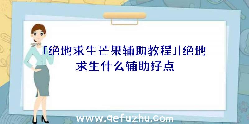 「绝地求生芒果辅助教程」|绝地求生什么辅助好点